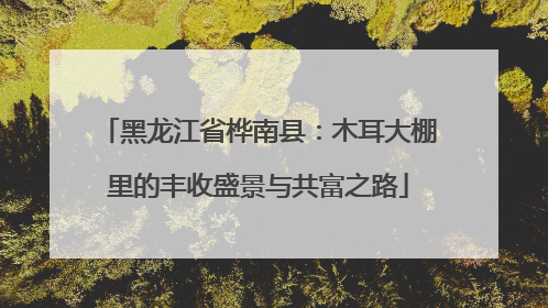 黑龙江省桦南县：木耳大棚里的丰收盛景与共富之路
