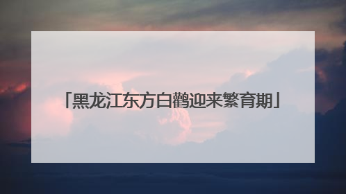 黑龙江东方白鹳迎来繁育期