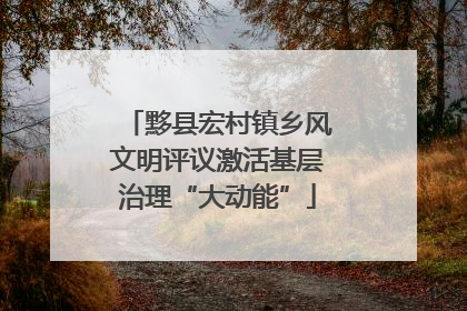 黟县宏村镇乡风文明评议激活基层治理“大动能”