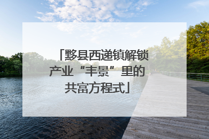 黟县西递镇解锁产业“丰景”里的共富方程式