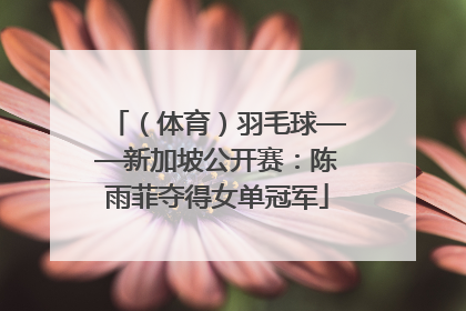 （体育）羽毛球——新加坡公开赛：陈雨菲夺得女单冠军