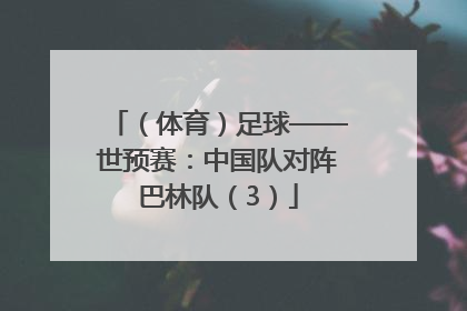 （体育）足球——世预赛：中国队对阵巴林队（3）