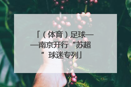 （体育）足球——南京开行“苏超”球迷专列