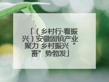 （乡村行·看振兴）安徽固镇产业聚力 乡村振兴“畜”势勃发