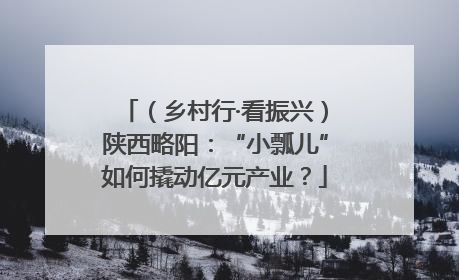 （乡村行·看振兴）陕西略阳：“小瓢儿”如何撬动亿元产业？
