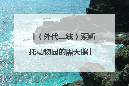 （外代二线）索斯托动物园的黑天鹅