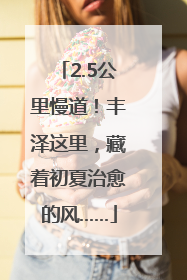 2.5公里慢道！丰泽这里，藏着初夏治愈的风……