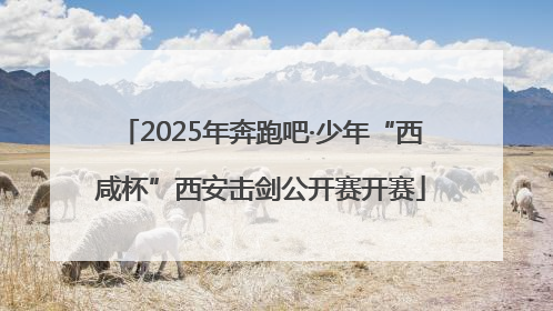 2025年奔跑吧·少年“西咸杯”西安击剑公开赛开赛