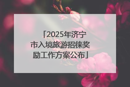 2025年济宁市入境旅游招徕奖励工作方案公布