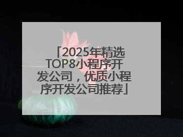 2025年精选TOP8小程序开发公司，优质小程序开发公司推荐