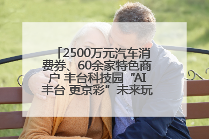 2500万元汽车消费券、60余家特色商户 丰台科技园“AI丰台 更京彩”未来玩家市集活动正式开幕