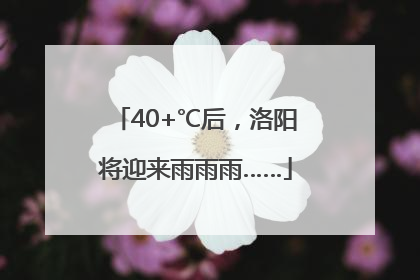 40+℃后，洛阳将迎来雨雨雨……