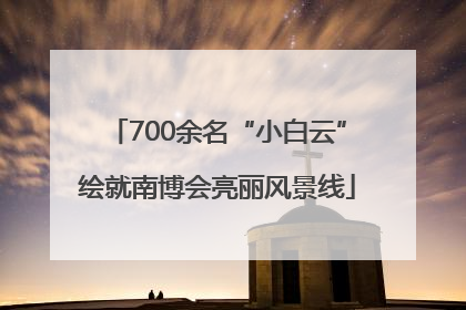 700余名“小白云”绘就南博会亮丽风景线
