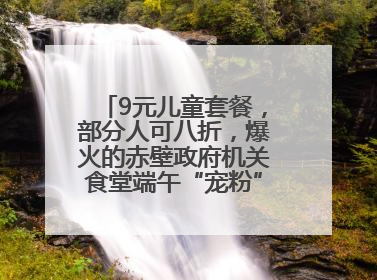 9元儿童套餐，部分人可八折，爆火的赤壁政府机关食堂端午“宠粉” 再升级