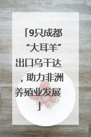 9只成都“大耳羊”出口乌干达，助力非洲养殖业发展