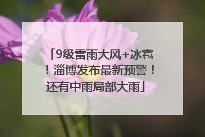 9级雷雨大风+冰雹！淄博发布最新预警！还有中雨局部大雨