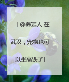 @养宠人 在武汉，宠物也可以坐高铁了