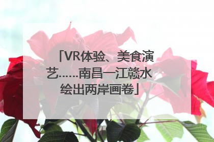 VR体验、美食演艺……南昌一江赣水绘出两岸画卷