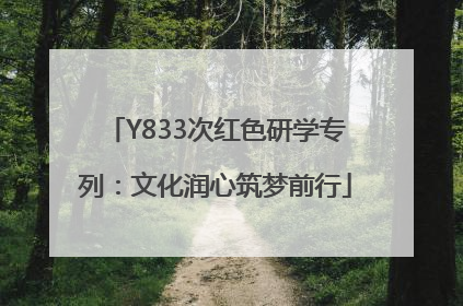 Y833次红色研学专列：文化润心筑梦前行