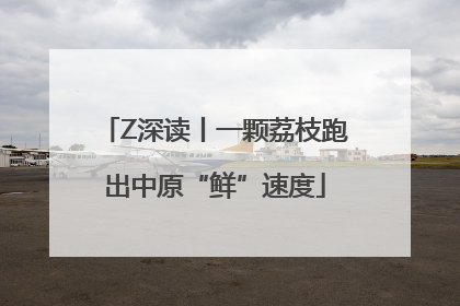 Z深读丨一颗荔枝跑出中原“鲜”速度